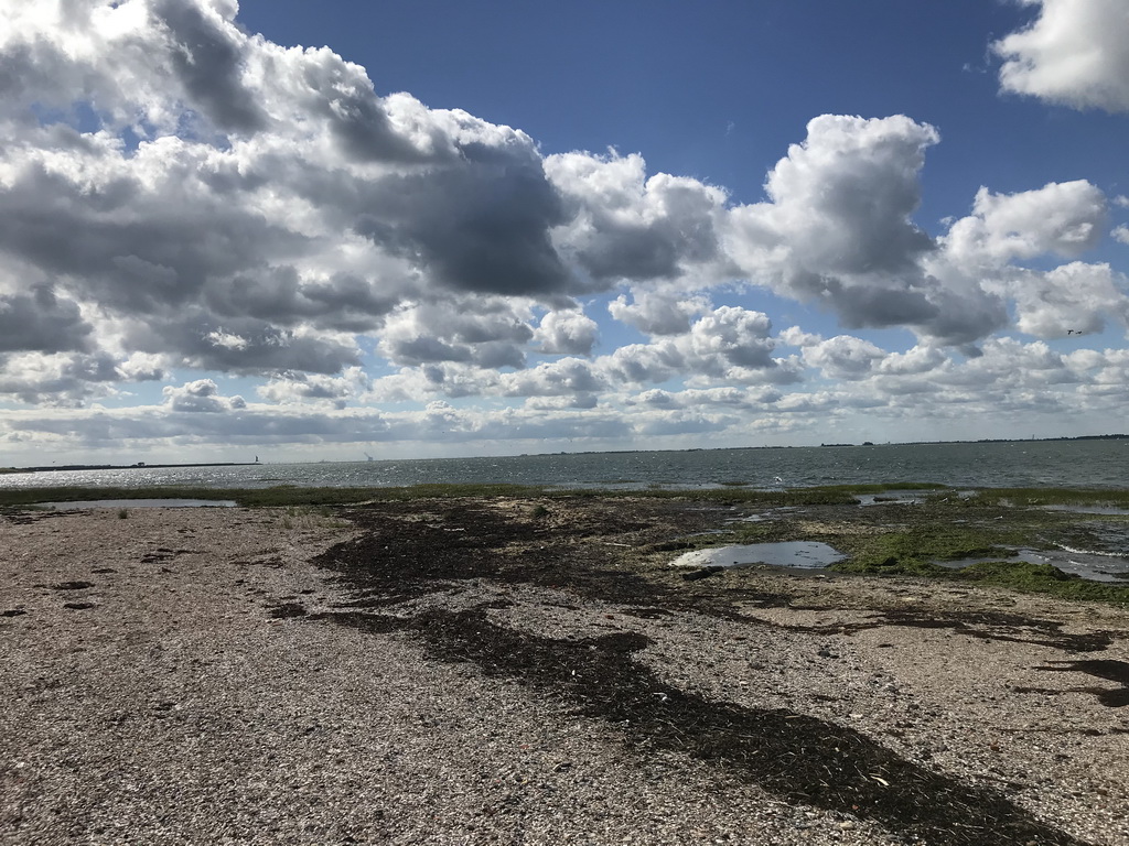 Beach at the south side of the Dijkweg road