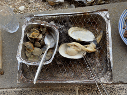 Barbecue with meat at the terrace of the Stuurhut holiday home at the Oosterschelde Camping Stavenisse