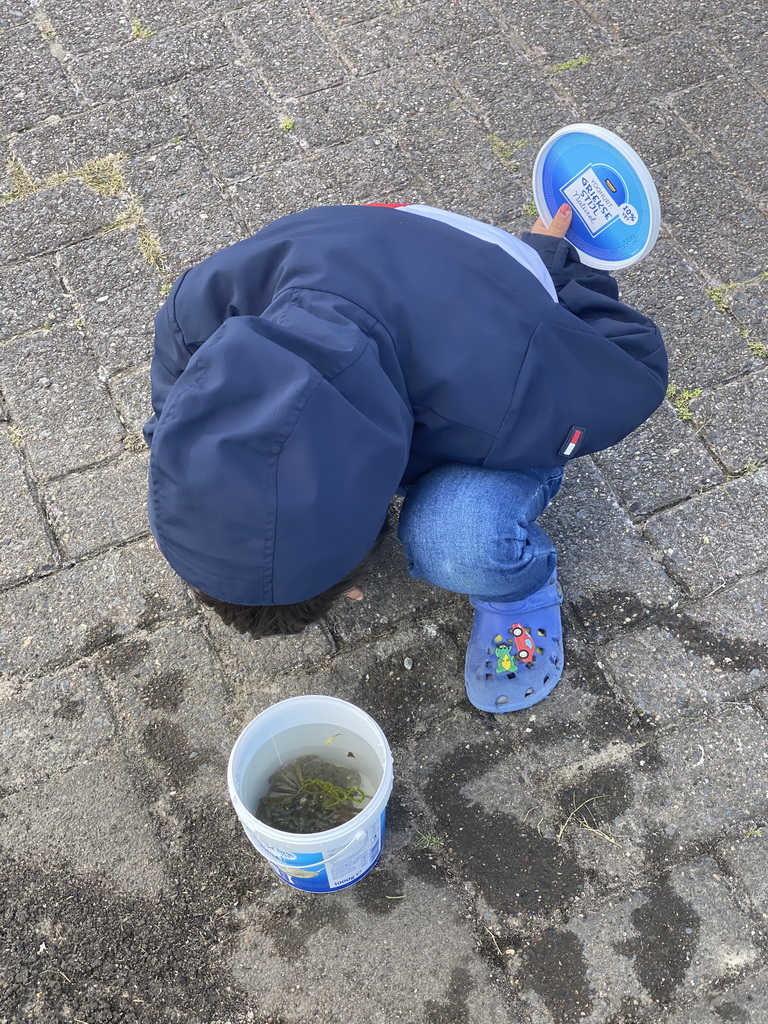 Max catching crabs at the southwest side of the Stavenisse Harbour