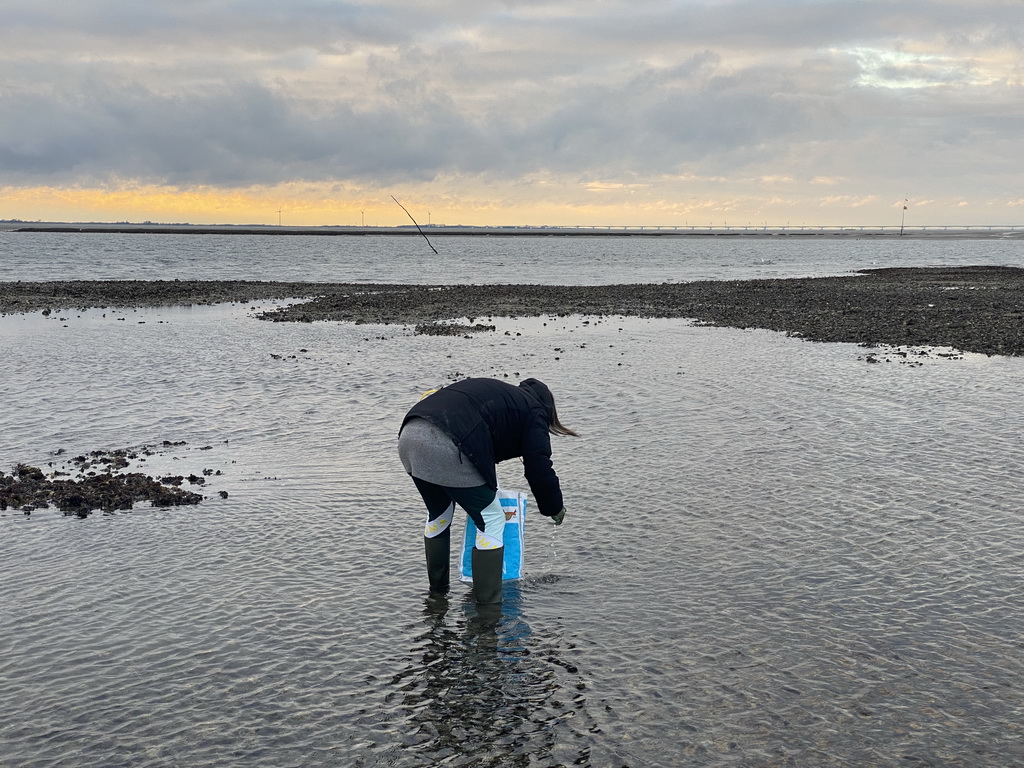 Miaomiao catching seashells at the beach near the Dijkweg road