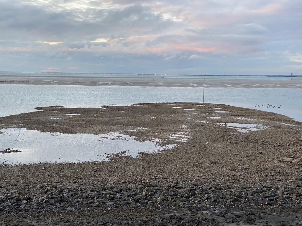 The beach near the Dijkweg road