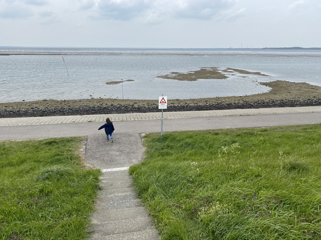 Max at the beach near the Dijkweg road