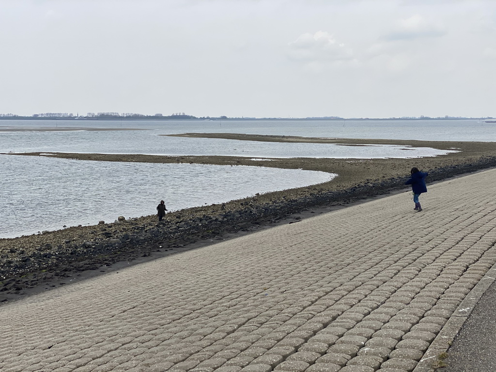 Miaomiao and Max looking for seashells at the beach near the Dijkweg road