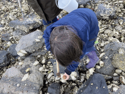 Max looking for seashells at the beach near the Dijkweg road