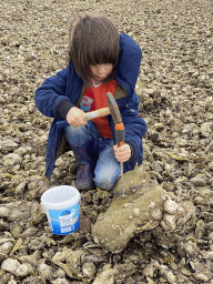 Max looking for seashells at the beach near the Dijkweg road