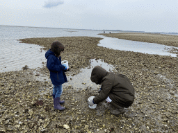 Miaomiao and Max looking for seashells at the beach near the Dijkweg road