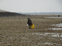 Miaomiao looking for seashells at the beach near the Dijkweg road