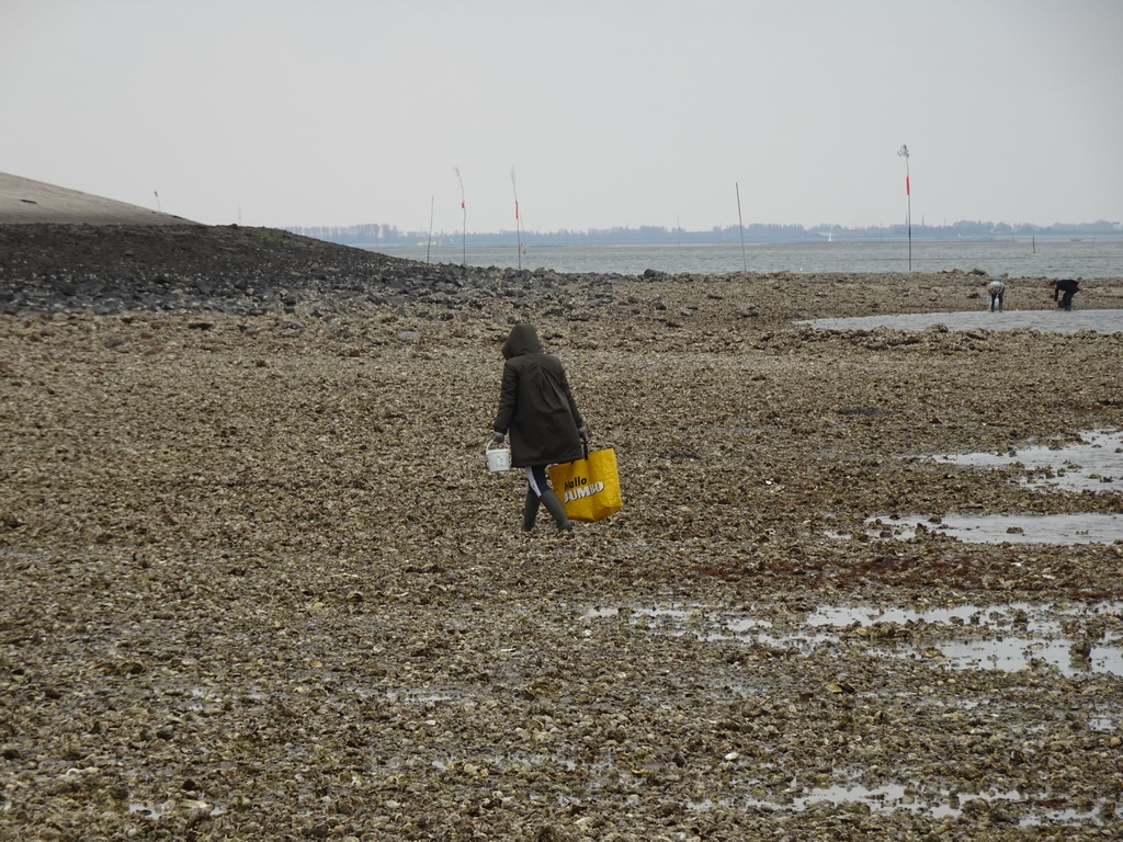 Miaomiao looking for seashells at the beach near the Dijkweg road