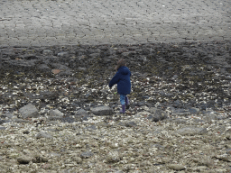 Max looking for seashells at the beach near the Dijkweg road