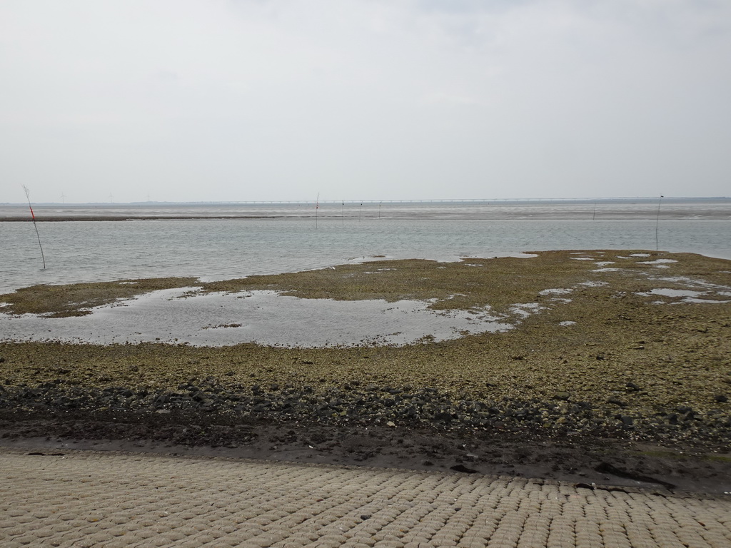 The beach near the Dijkweg road