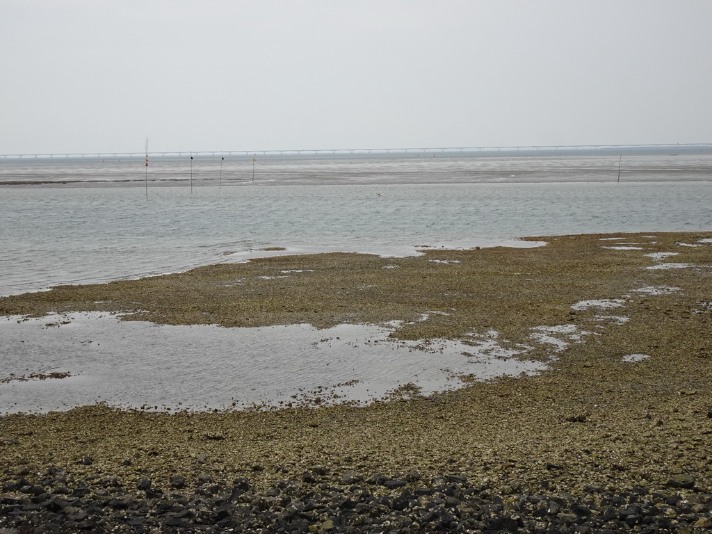 The beach near the Dijkweg road