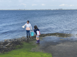 Miaomiao and Max catching seashells on the beach near the Steiger Stavenisse pier