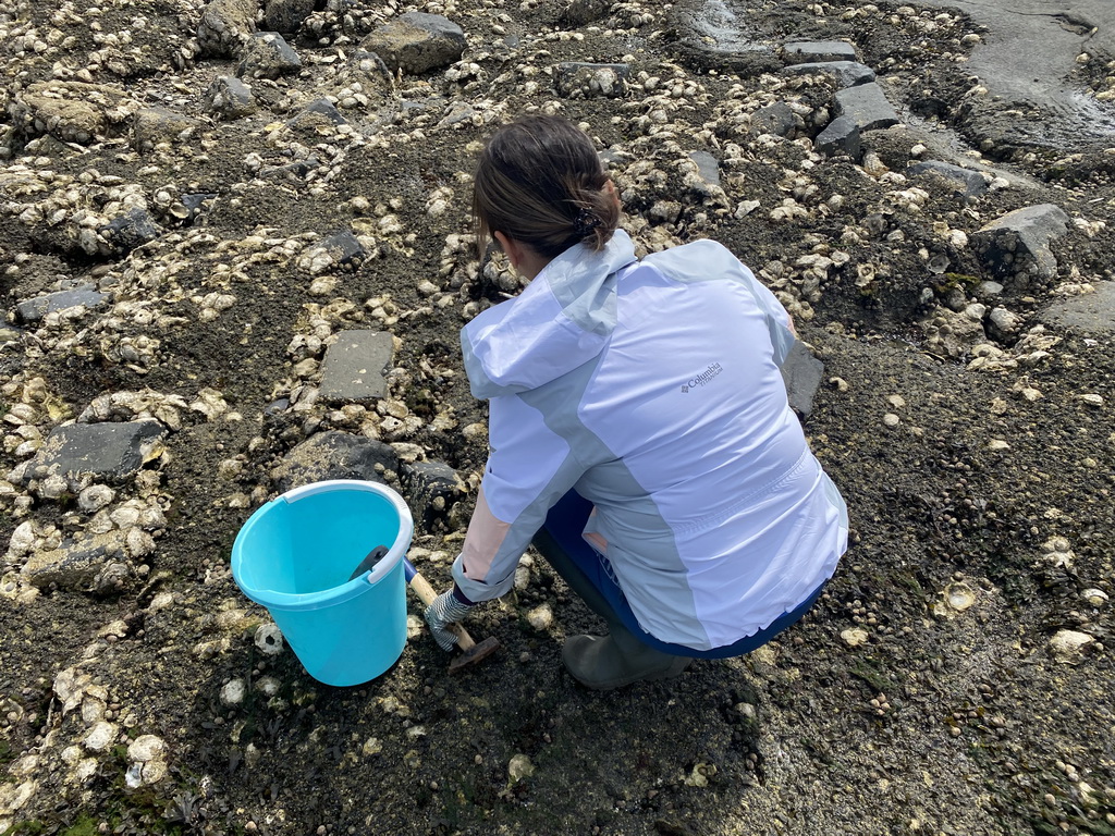 Miaomiao catching seashells on the beach near the Steiger Stavenisse pier