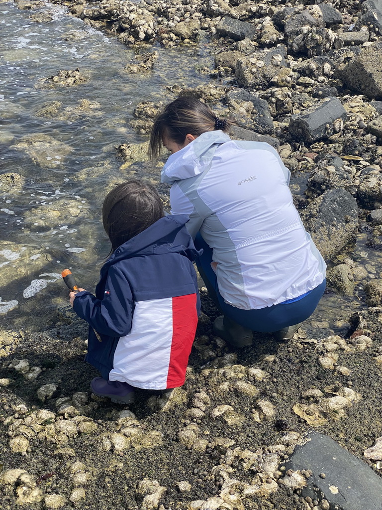 Miaomiao and Max catching seashells on the beach near the Steiger Stavenisse pier