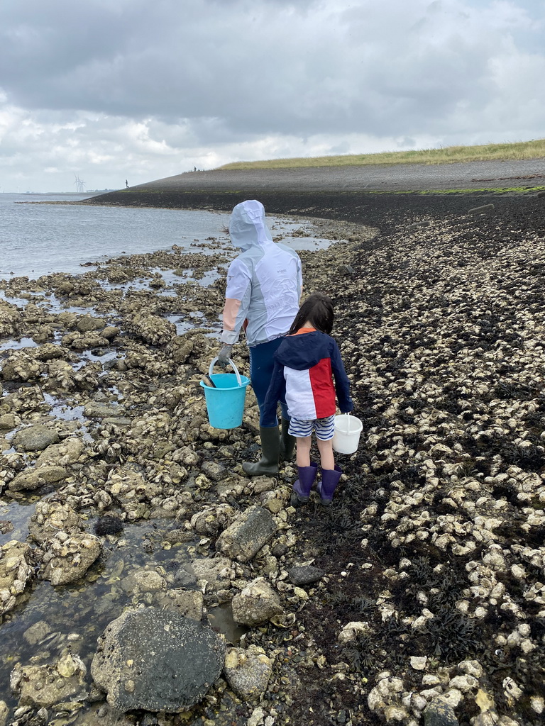 Miaomiao and Max catching seashells on the beach near the Steiger Stavenisse pier