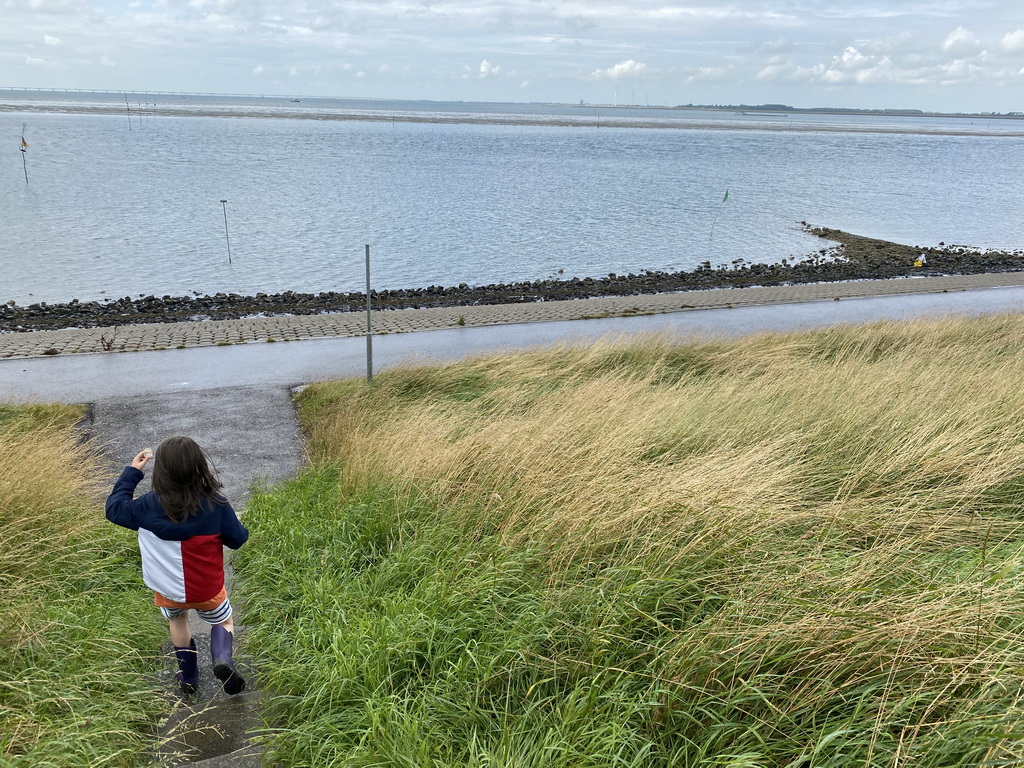 Miaomiao and Max catching seashells at the beach near the Dijkweg road