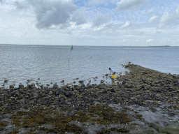 Miaomiao catching seashells at the beach near the Dijkweg road