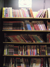 Japanese books in a shop in the Västerlanggatan shopping street