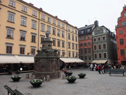 The Stortorget square with a well and a musician