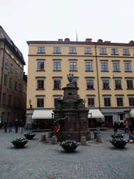 The Stortorget square with a well