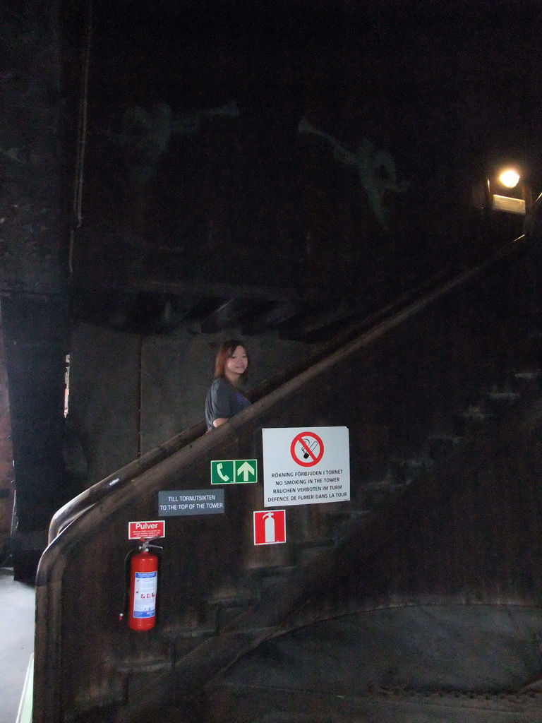 Miaomiao on the staircase of the main tower of the Stockholm City Hall