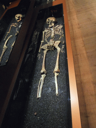 Skeletons of people onboard the Vasa ship, in the Vasa Museum