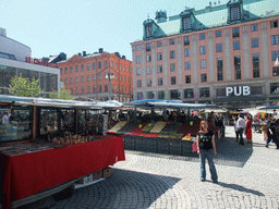 Miaomiao at the open market of Hötorget square