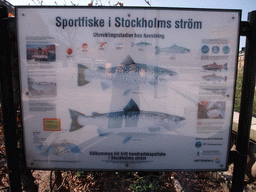 Explanation on sport fishing in the Stockholm rivers