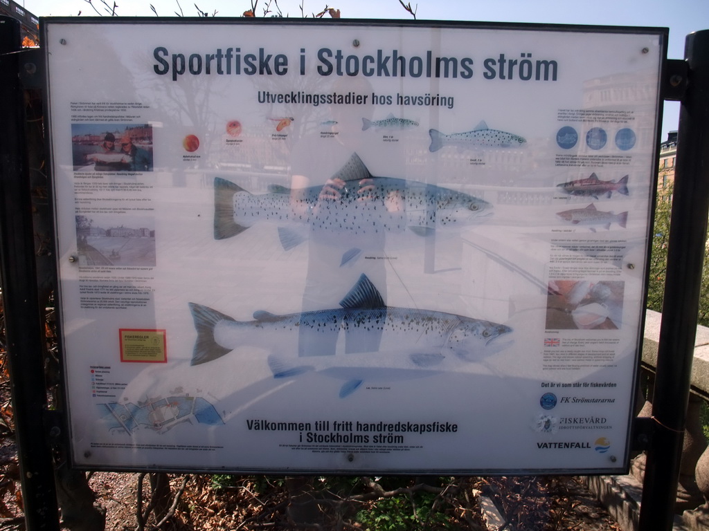 Explanation on sport fishing in the Stockholm rivers