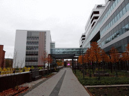 The Akademiska stråket street with the Karolinska University Hospital and the Bioclinicum building of the Karolinska Institute Campus Solna