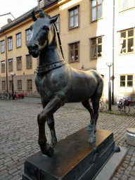 Horse statue at the Blasieholmstorg square