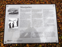Information on the Museiparken park