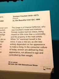 Explanation on the painting `Jo, the Beautiful Irish Girl` by Gustave Courbet at the 1870-1910 exhibition at the Middle Floor of the Nationalmuseum