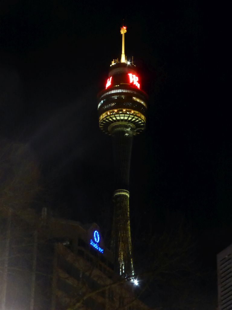 The Sydney Tower, viewed from Hyde Park, by night