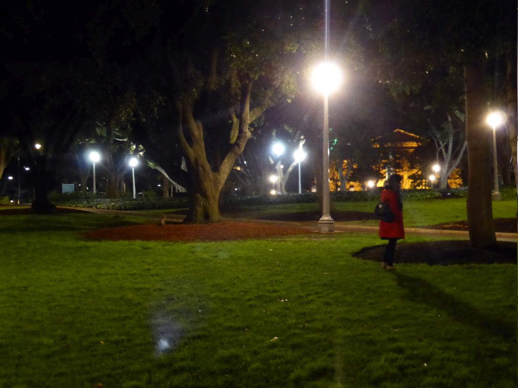 Miaomiao and a Possum under a tree at Hyde Park, by night