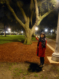 Miaomiao and a Possum in a tree at Hyde Park, by night