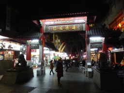 Miaomiao in front of the northern Chinatown Gate at Dixon Street, by night