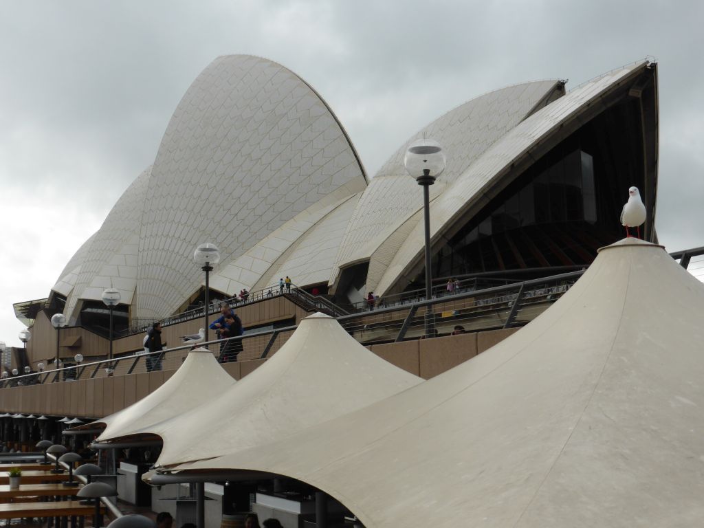 Lower Concourse of the Sydney Opera House