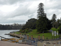The Royal Botanic Gardens, viewed from the staircase to the Sydney Opera House