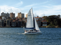 Boat in the Sydney Harbour and the Mattawunga neighbourhood, viewed from the north side of the Sydney Opera House