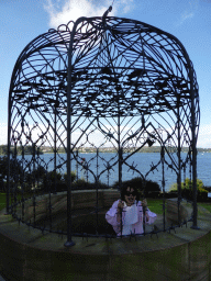 Miaomiao in a cage at the northwest side of the Royal Botanic Gardens