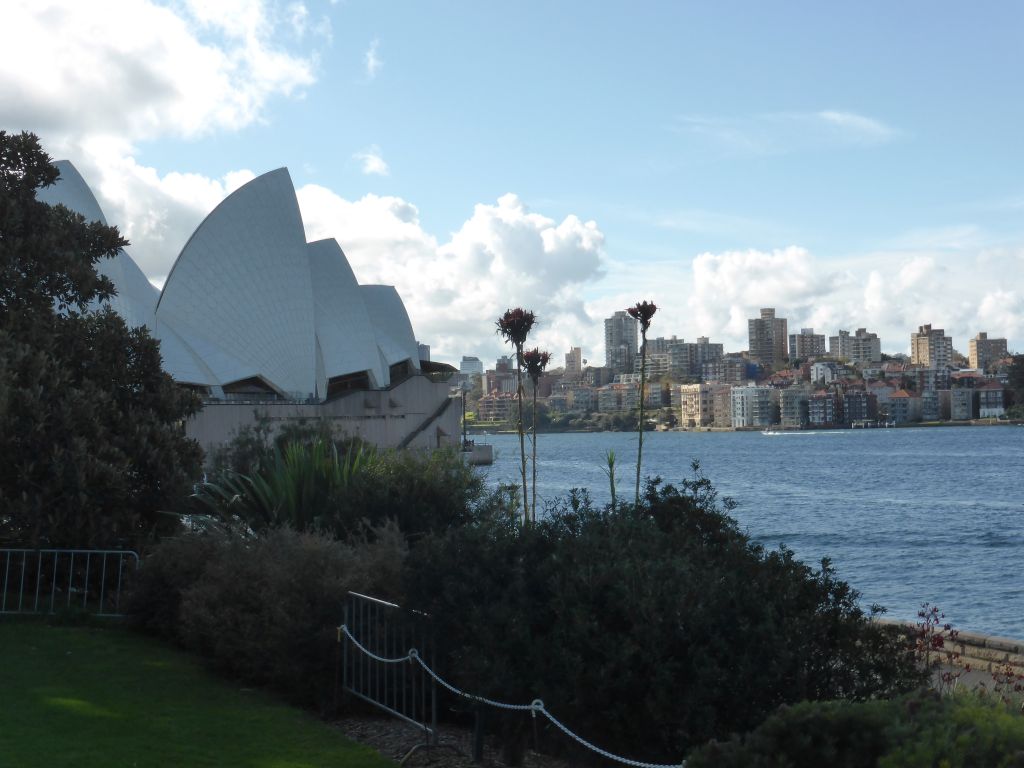 Plants at the northwest side of the Royal Botanic Gardens, with a view on the Sydney Opera House, the Sydney Harbour and the Mattawunga neighbourhood