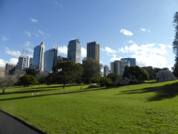 Grassland with trees at the Royal Botanic Gardens, with a view on the skyscrapers in the city center