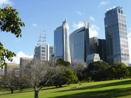 Grassland with trees at the Royal Botanic Gardens, with a view on the skyscrapers in the city center