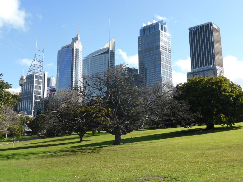 Grassland with trees at the Royal Botanic Gardens, with a view on the Sydney Tower and other skyscrapers in the city center