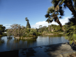 The Main Pond at the Royal Botanic Gardens
