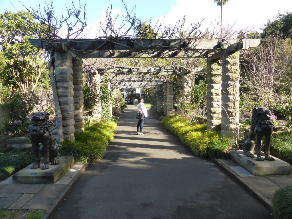 Miaomiao on a walkway at the Royal Botanic Gardens