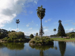 The Main Pond at the Royal Botanic Gardens