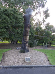Carving `Yurabirong` by Glen Timbery and Vic Simms, at the Royal Botanic Gardens