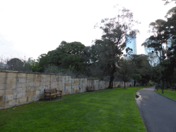 Mrs Macquarie`s Road and the Macquarie Wall at the Royal Botanic Gardens
